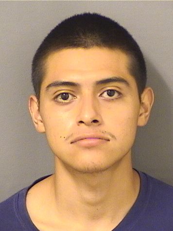  ROSALIO PEREZRAMIREZ Results from Palm Beach County Florida for  ROSALIO PEREZRAMIREZ