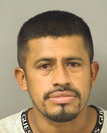  JAIME CRUZ CRUZ Results from Palm Beach County Florida for  JAIME CRUZ CRUZ