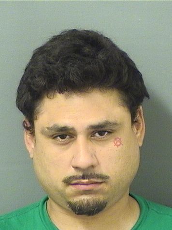  GIOVANNY CASTANO Results from Palm Beach County Florida for  GIOVANNY CASTANO