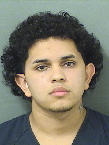  KHRIS FIGUEROALOPEZ Results from Palm Beach County Florida for  KHRIS FIGUEROALOPEZ