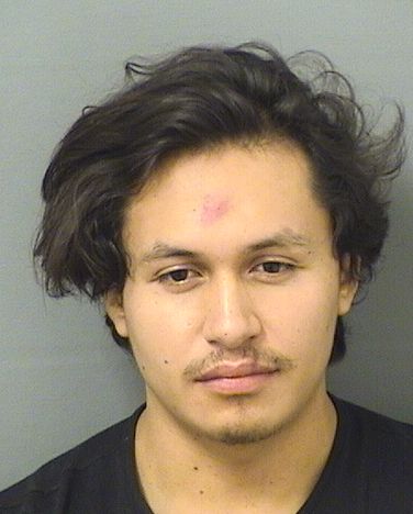  JESUS HERNANDEZGAYTAN Resultados de la busqueda para Palm Beach County Florida para  JESUS HERNANDEZGAYTAN