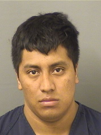  EDVIN VITALINO LOPEZARDIANO Results from Palm Beach County Florida for  EDVIN VITALINO LOPEZARDIANO