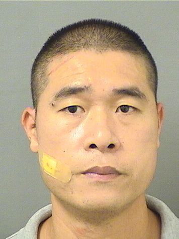  FENG CHEN Photo For  FENG CHEN