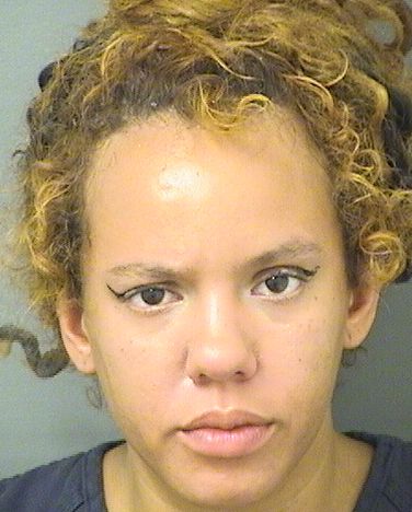  MEAGAN T PHILLIPS Resultados de la busqueda para Palm Beach County Florida para  MEAGAN T PHILLIPS