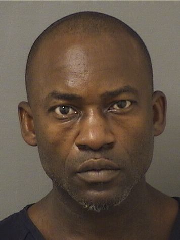  REGINALD NARVON DAVIS Results from Palm Beach County Florida for  REGINALD NARVON DAVIS