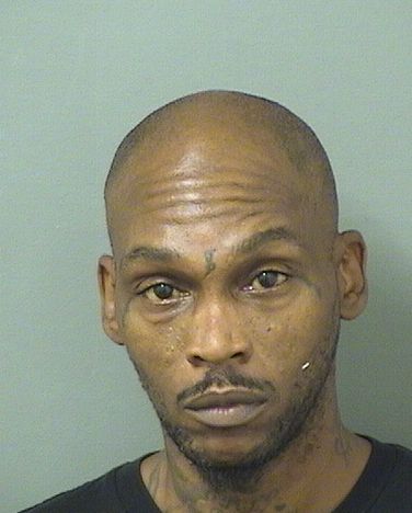  REGINALD LEE Jr TAYLOR Results from Palm Beach County Florida for  REGINALD LEE Jr TAYLOR