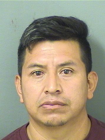  ALBERTO CARMELO RAMOSORDONEZ Results from Palm Beach County Florida for  ALBERTO CARMELO RAMOSORDONEZ