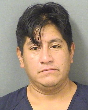  RENE ITZEPLOPEZ Results from Palm Beach County Florida for  RENE ITZEPLOPEZ