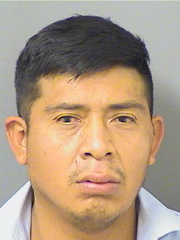  BERSAIN HERNANDEZORTIZ Photo For  BERSAIN HERNANDEZORTIZ