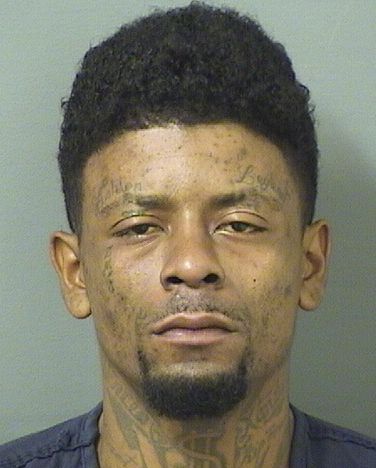  LINDSAY J GOLDWIRE Results from Palm Beach County Florida for  LINDSAY J GOLDWIRE