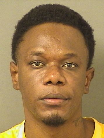  WESLEY MICHAUD Results from Palm Beach County Florida for  WESLEY MICHAUD