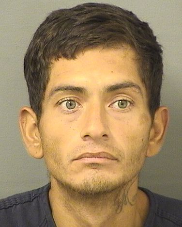  JOEL RICO Resultados de la busqueda para Palm Beach County Florida para  JOEL RICO