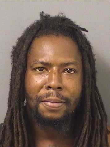  LUIS ANTONIO SAEZ Results from Palm Beach County Florida for  LUIS ANTONIO SAEZ