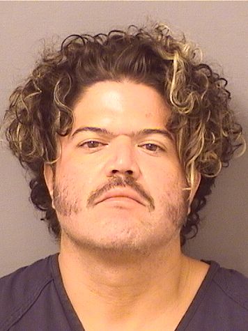 DAVID ALEXANDER HERNANDEZ Results from Palm Beach County Florida for  DAVID ALEXANDER HERNANDEZ