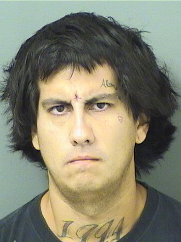 ANGEL ANTONIO MORENO Results from Palm Beach County Florida for  ANGEL ANTONIO MORENO