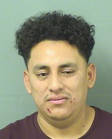  RICARDO ALFONSO NOJHERNANDEZ Resultados de la busqueda para Palm Beach County Florida para  RICARDO ALFONSO NOJHERNANDEZ