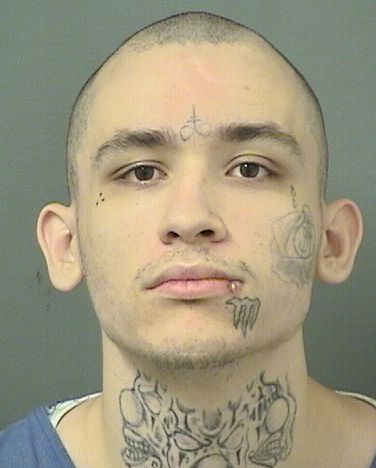  IVANN A POWELL Resultados de la busqueda para Palm Beach County Florida para  IVANN A POWELL