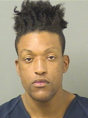  DOMINICK RAYNAL JOHNSON Results from Palm Beach County Florida for  DOMINICK RAYNAL JOHNSON