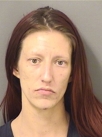  CARRIE ELIZABETH WEISZ Results from Palm Beach County Florida for  CARRIE ELIZABETH WEISZ