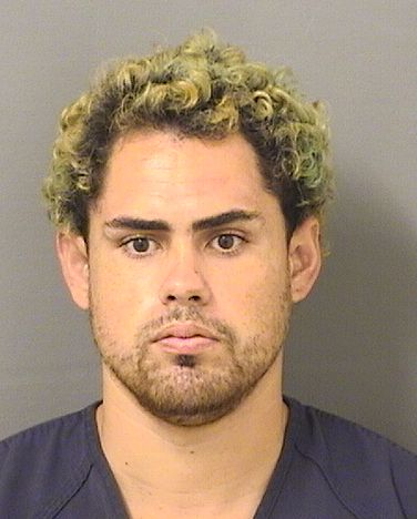 LORENZO RICARDO BARRERA Results from Palm Beach County Florida for  LORENZO RICARDO BARRERA