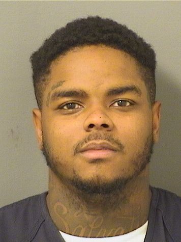  ALFRED RICARDO BROWN Resultados de la busqueda para Palm Beach County Florida para  ALFRED RICARDO BROWN