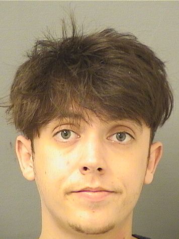  ANDREW JORDAN SNYDER Results from Palm Beach County Florida for  ANDREW JORDAN SNYDER