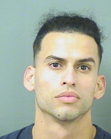  FELIPE A SOSA Results from Palm Beach County Florida for  FELIPE A SOSA