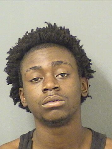  ALEX JUNIOR VALCIN Results from Palm Beach County Florida for  ALEX JUNIOR VALCIN