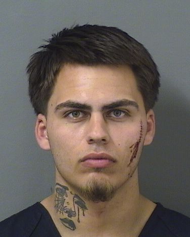  JOSHUA STANLEY CRIST Results from Palm Beach County Florida for  JOSHUA STANLEY CRIST