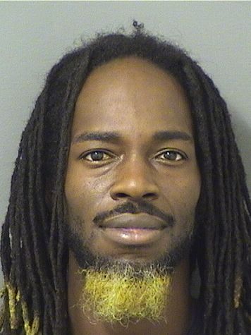  DANIEL TABITHI DAVIDSON Results from Palm Beach County Florida for  DANIEL TABITHI DAVIDSON