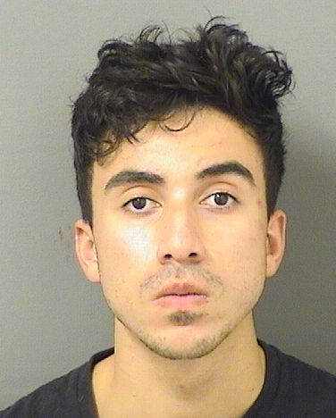  ERICK ANTONIO HERNANDEZ Results from Palm Beach County Florida for  ERICK ANTONIO HERNANDEZ