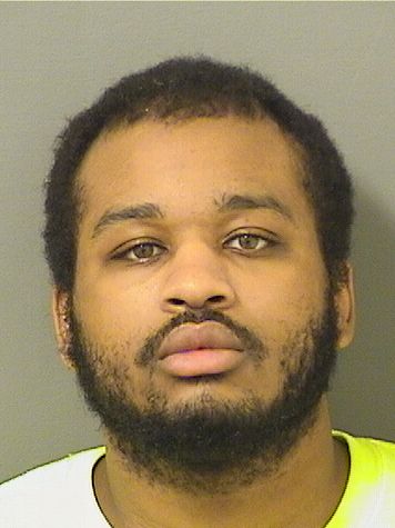  TRISTAN C JOHNSON Results from Palm Beach County Florida for  TRISTAN C JOHNSON