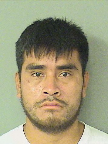  JOHNY VASQUEZLOPEZ Results from Palm Beach County Florida for  JOHNY VASQUEZLOPEZ