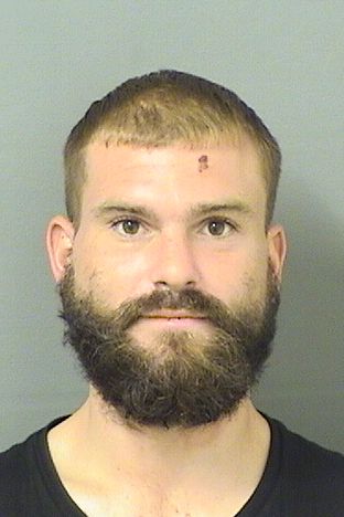  BRENDAN ALEXANDER KEALEY Results from Palm Beach County Florida for  BRENDAN ALEXANDER KEALEY