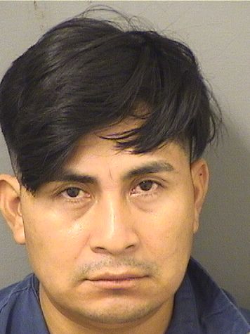 FRANCISCO DOMINGOMENDEZ Results from Palm Beach County Florida for FRANCISCO DOMINGOMENDEZ FRANCISCO DOMINGOMENDEZ Results from Palm Beach County Florida for FRANCISCO DOMINGOMENDEZ