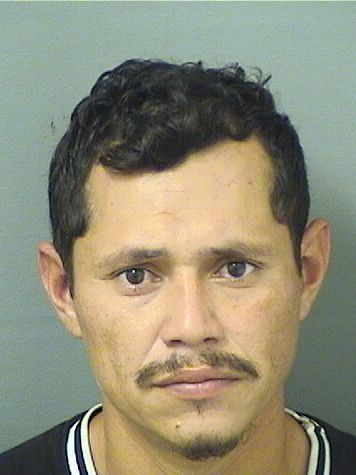  ELVIN J PADILLAMUNGUIA Photo For  ELVIN J PADILLAMUNGUIA