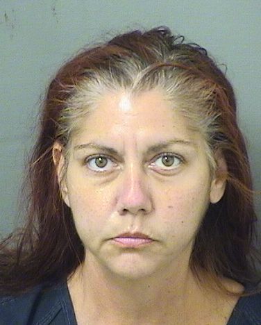  DIANA LYNN WALSH Results from Palm Beach County Florida for  DIANA LYNN WALSH