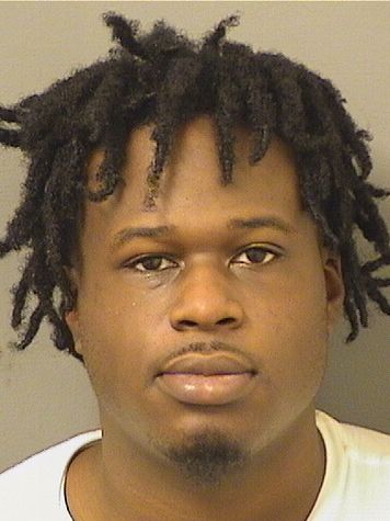  DEON L TULL Results from Palm Beach County Florida for  DEON L TULL