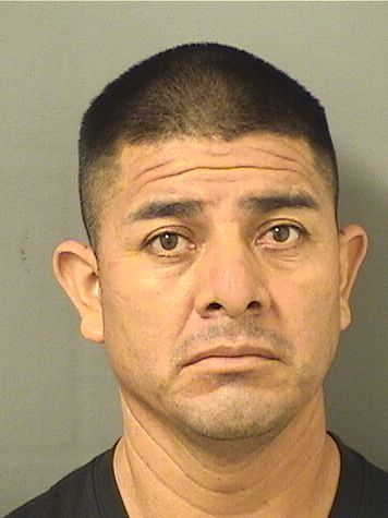  PABLO JUANPASCUAL Results from Palm Beach County Florida for  PABLO JUANPASCUAL
