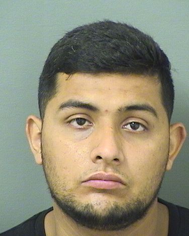  BRIAN J DELGADO Results from Palm Beach County Florida for  BRIAN J DELGADO