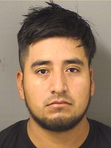  ROBYN D GONZALEZHERNANDEZ Resultados de la busqueda para Palm Beach County Florida para  ROBYN D GONZALEZHERNANDEZ