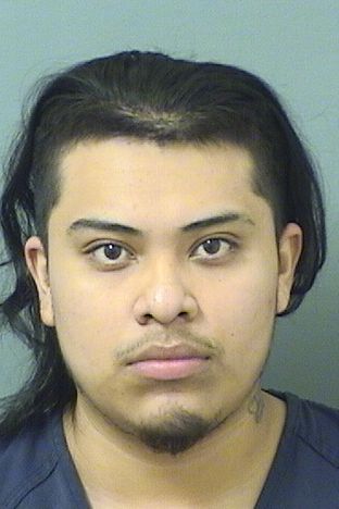  NICOLAS FELICIANO CRUZ Results from Palm Beach County Florida for  NICOLAS FELICIANO CRUZ