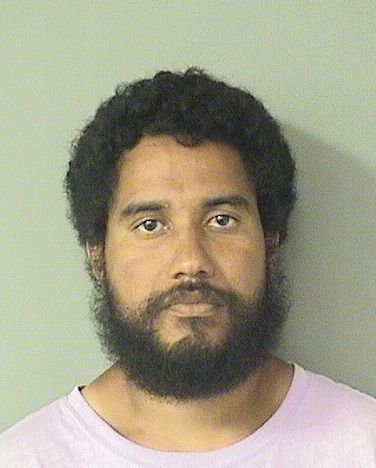  HANICO A WILLIAMS Results from Palm Beach County Florida for  HANICO A WILLIAMS