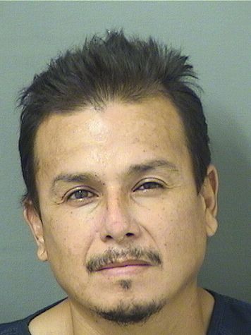  ISRAEL TOLEDO VIEYRA Results from Palm Beach County Florida for  ISRAEL TOLEDO VIEYRA