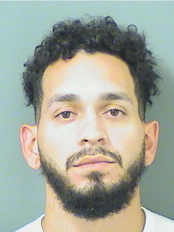 ANDREW JUSTIN PILLOT Results from Palm Beach County Florida for ANDREW JUSTIN PILLOT ANDREW JUSTIN PILLOT Results from Palm Beach County Florida for ANDREW JUSTIN PILLOT