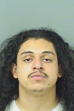 LUIS FERNANDO PINEDA Results from Palm Beach County Florida for LUIS FERNANDO PINEDA LUIS FERNANDO PINEDA Results from Palm Beach County Florida for LUIS FERNANDO PINEDA