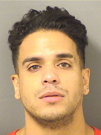  CESAR RICARDO DIAZ Results from Palm Beach County Florida for  CESAR RICARDO DIAZ