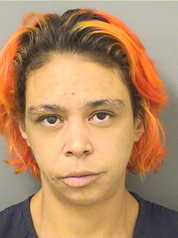  REBECCA LYN BIGHAM Results from Palm Beach County Florida for  REBECCA LYN BIGHAM