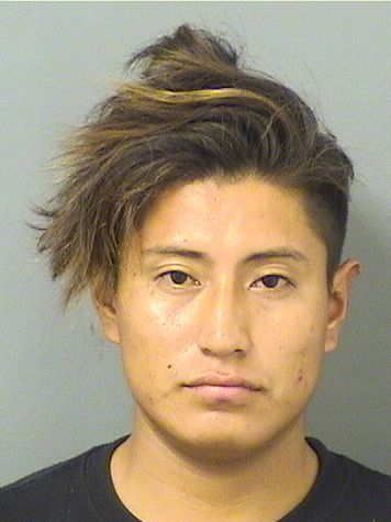 BRYAN GONZALEZMATUL Results from Palm Beach County Florida for BRYAN GONZALEZMATUL BRYAN GONZALEZMATUL Results from Palm Beach County Florida for BRYAN GONZALEZMATUL