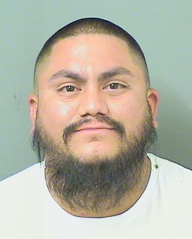  CRISTIAN JOVANI CASTRO Results from Palm Beach County Florida for  CRISTIAN JOVANI CASTRO